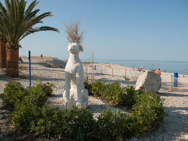 spiaggia_per_cani_grottammare
